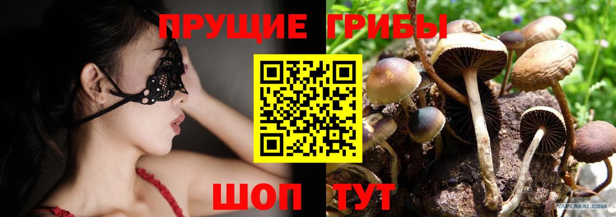 Галлюциногенные грибы мицелий  Вход с VPN  Петропавловск-Камчатский  Галлюциногенные грибы Cubensis 